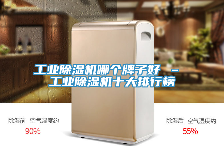 工業除濕機哪個牌子好 – 工業除濕機十大排行榜