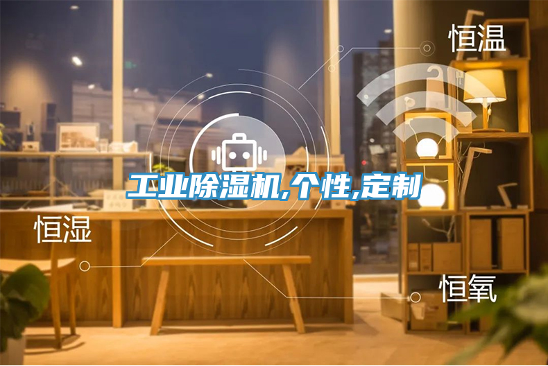 工業除濕機,個性,定制