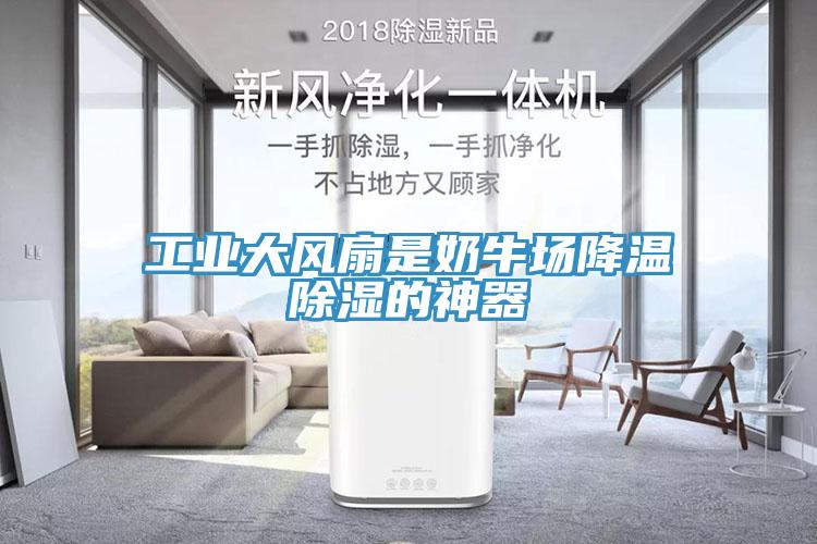 工業大風扇是奶牛場降溫除濕的神器