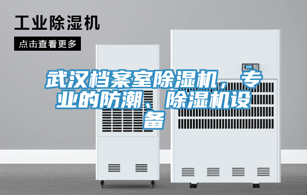 武漢檔案室除濕機，專業的防潮、除濕機設備