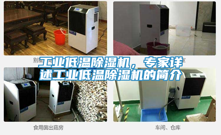 工業(yè)低溫除濕機，專家詳述工業(yè)低溫除濕機的簡介
