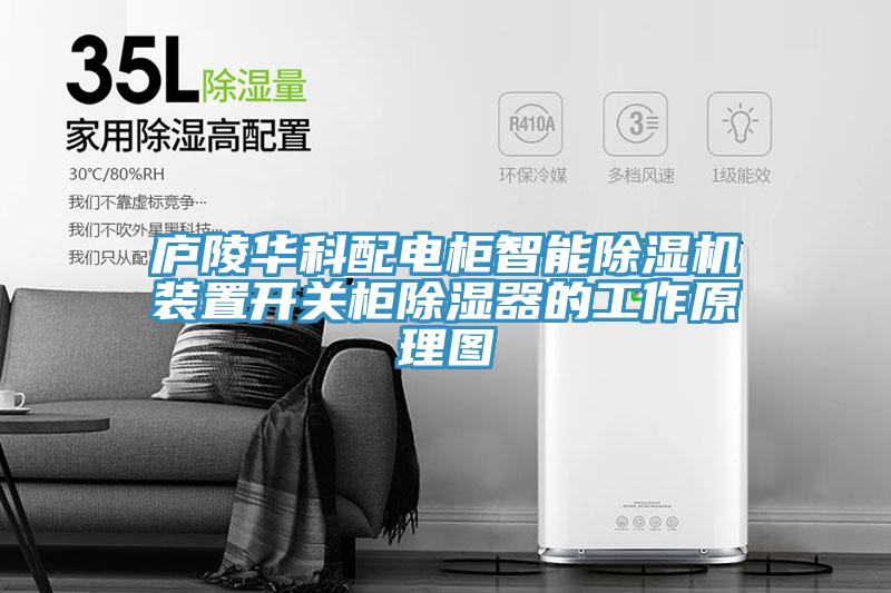 廬陵華科配電柜智能除濕機(jī)裝置開關(guān)柜除濕器的工作原理圖