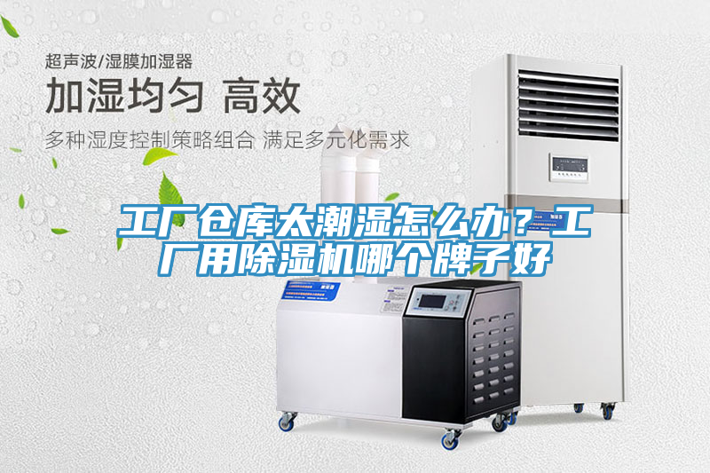 工廠倉庫太潮濕怎么辦？工廠用除濕機(jī)哪個(gè)牌子好