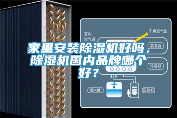 家里安裝除濕機好嗎，除濕機國內品牌哪個好？