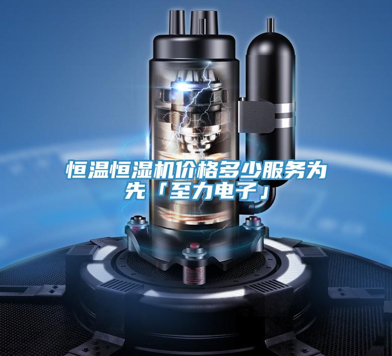恒溫恒濕機價格多少服務為先「至力電子」