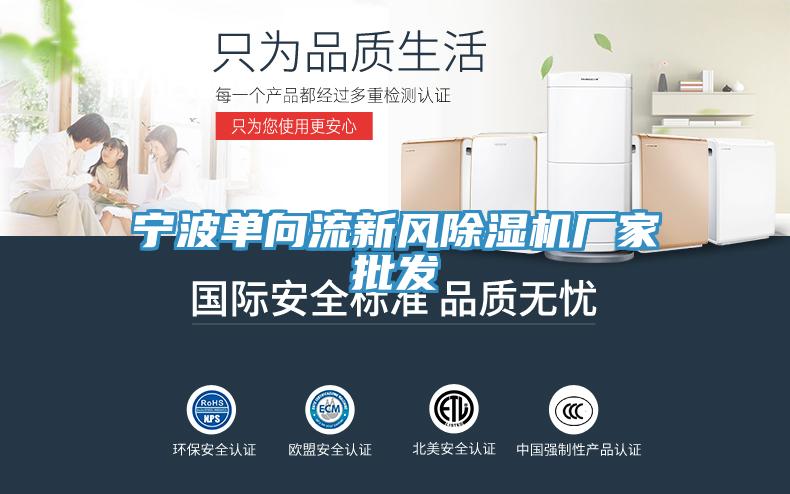 寧波單向流新風除濕機廠家批發