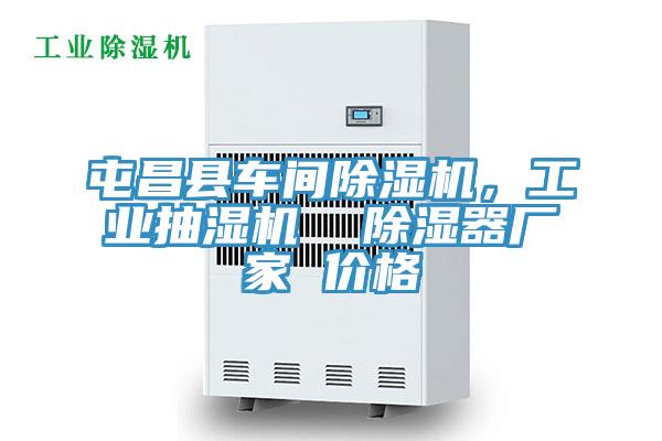 屯昌縣車間除濕機，工業抽濕機  除濕器廠家 價格