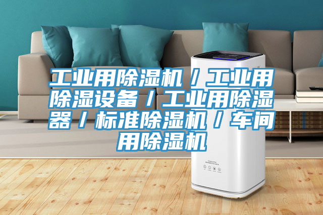 工業(yè)用除濕機／工業(yè)用除濕設(shè)備／工業(yè)用除濕器／標(biāo)準除濕機／車間用除濕機