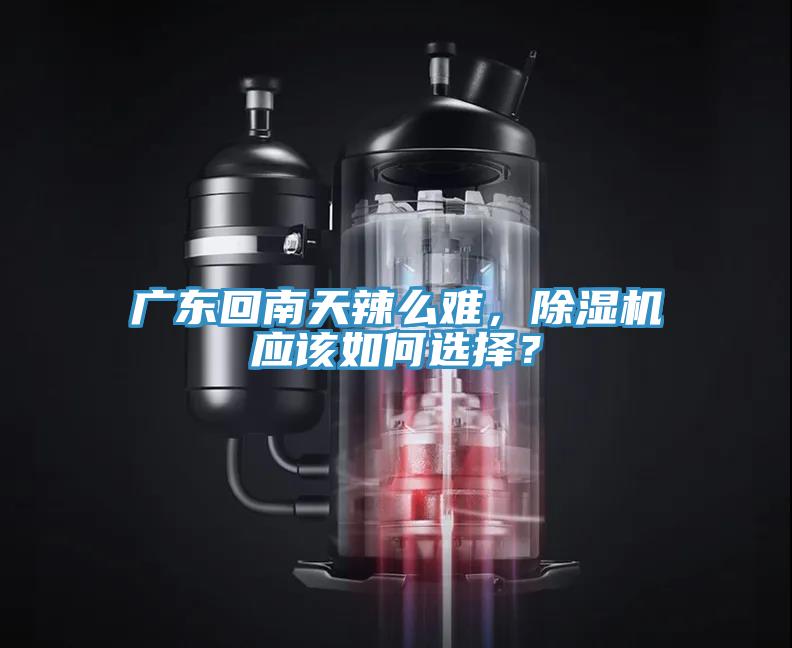 廣東回南天辣么難，除濕機應該如何選擇？