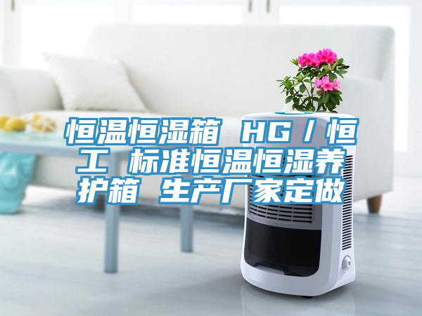 恒溫恒濕箱 HG／恒工 標準恒溫恒濕養護箱 生產廠家定做