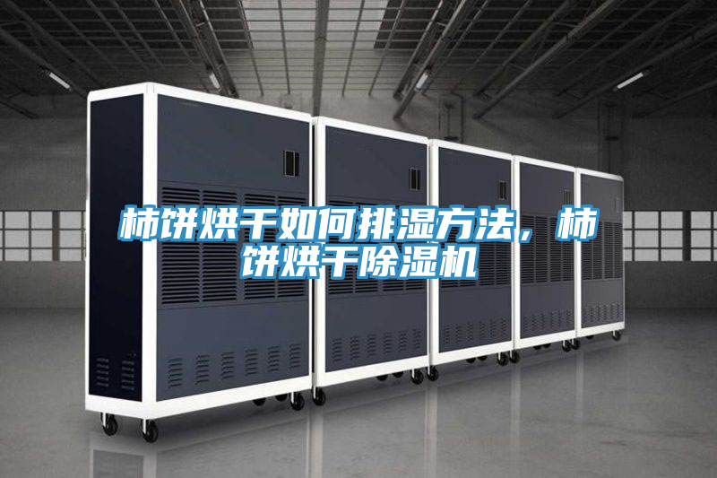 柿餅烘干如何排濕方法，柿餅烘干除濕機