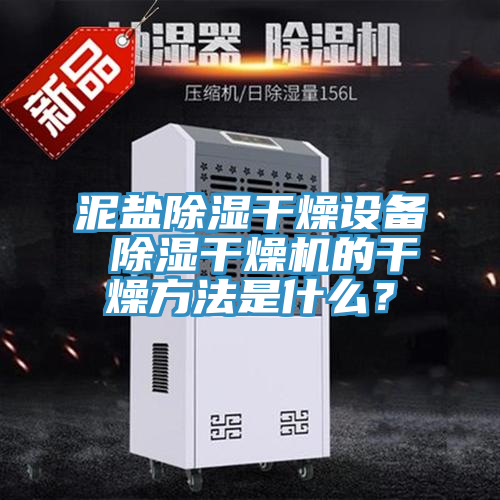 泥鹽除濕干燥設(shè)備 除濕干燥機(jī)的干燥方法是什么？