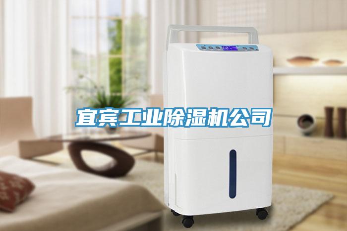 宜賓工業除濕機公司