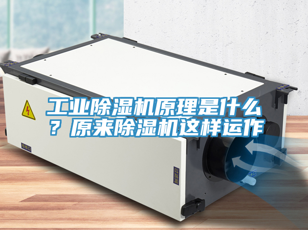 工業(yè)除濕機(jī)原理是什么？原來除濕機(jī)這樣運(yùn)作