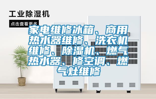 家電維修冰箱、商用熱水器維修、洗衣機維修、除濕機、燃氣熱水器、修空調(diào)、燃氣灶維修