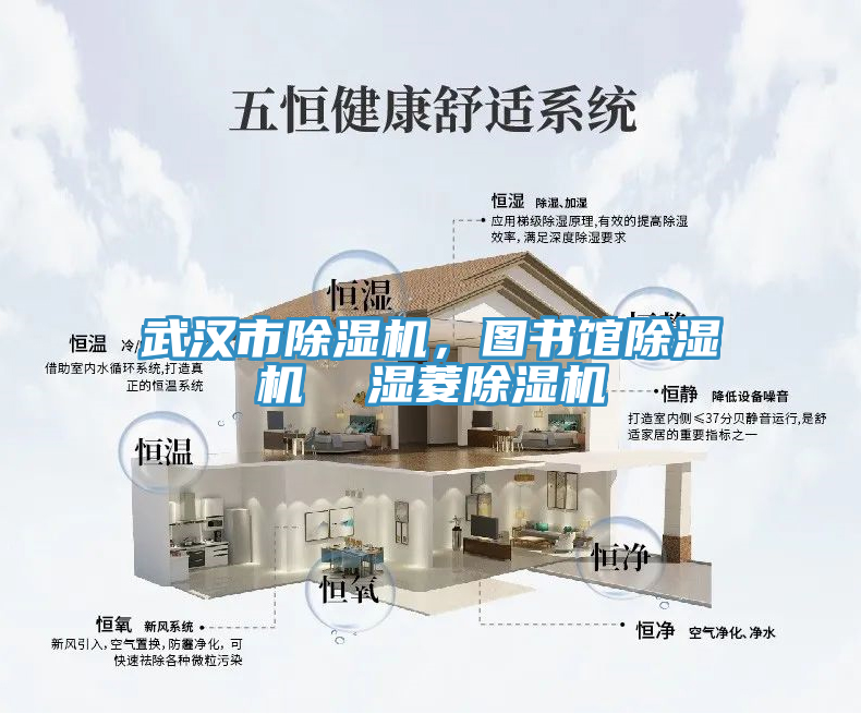 武漢市除濕機，圖書館除濕機  濕菱除濕機