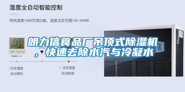 朗力信食品廠吊頂式除濕機，快速去除水汽與冷凝水