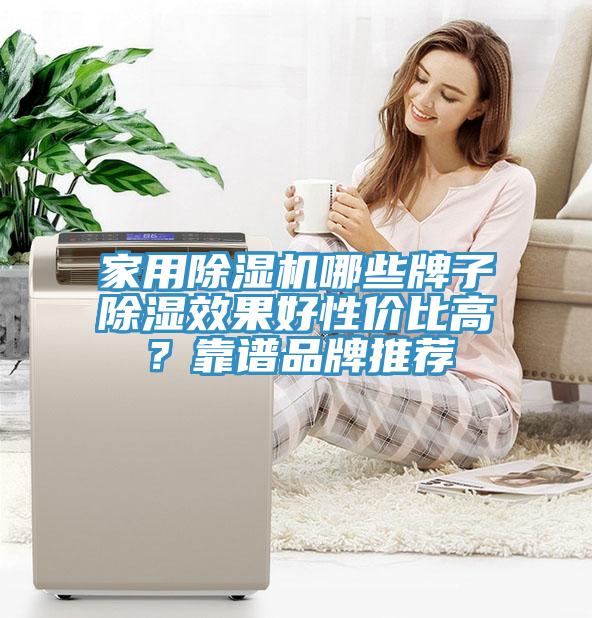 家用除濕機(jī)哪些牌子除濕效果好性?xún)r(jià)比高？靠譜品牌推薦