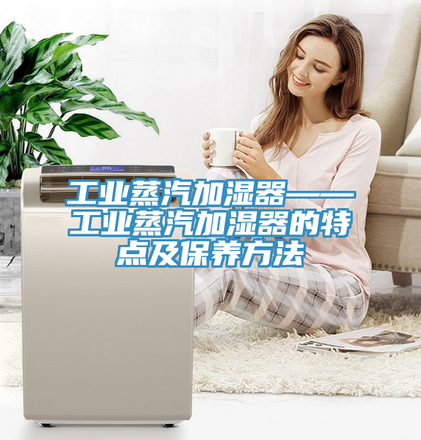 工業蒸汽加濕器——工業蒸汽加濕器的特點及保養方法