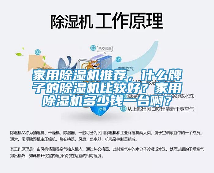 家用除濕機(jī)推薦，什么牌子的除濕機(jī)比較好？家用除濕機(jī)多少錢(qián)一臺(tái)啊？