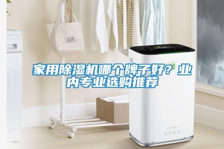 家用除濕機哪個牌子好？業內專業選購推薦