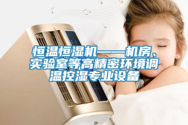 恒溫恒濕機——機房、實驗室等高精密環(huán)境調(diào)溫控濕專業(yè)設(shè)備