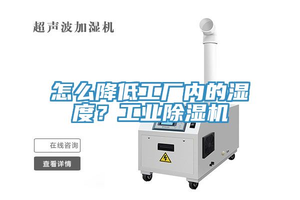 怎么降低工廠內的濕度？工業除濕機