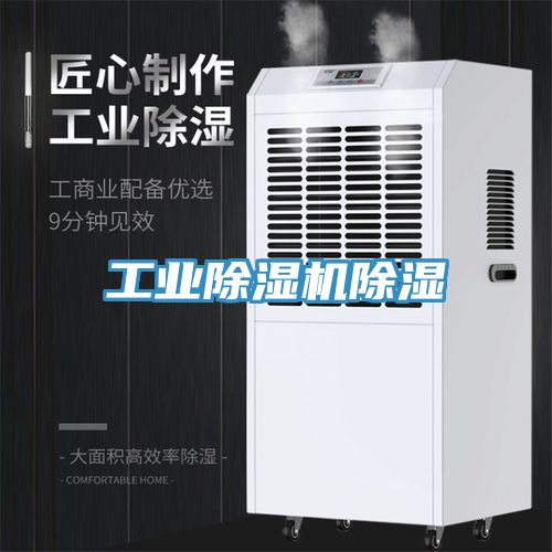 工業除濕機除濕