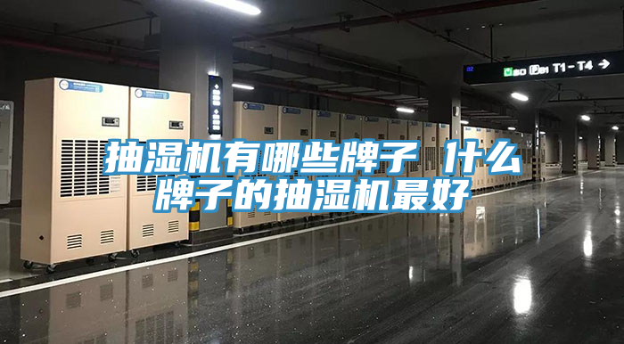 抽濕機有哪些牌子 什么牌子的抽濕機最好