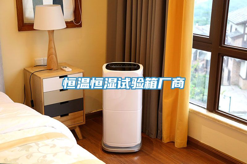 恒溫恒濕試驗(yàn)箱廠商