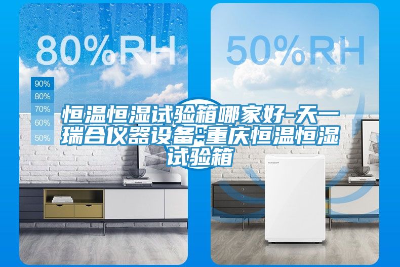 恒溫恒濕試驗箱哪家好-天一瑞合儀器設備-重慶恒溫恒濕試驗箱