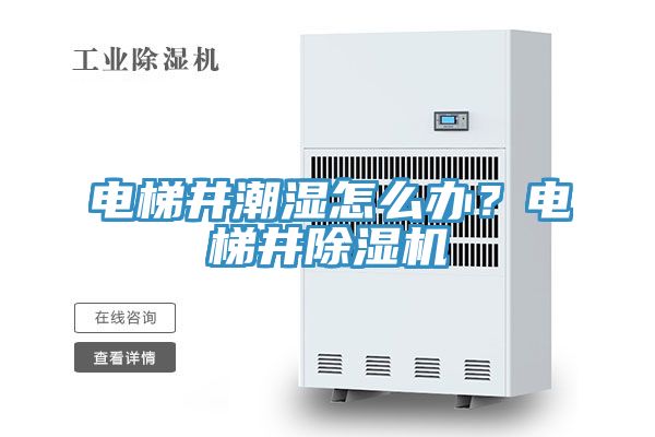 電梯井潮濕怎么辦？電梯井除濕機
