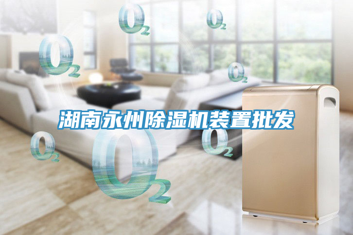湖南永州除濕機裝置批發