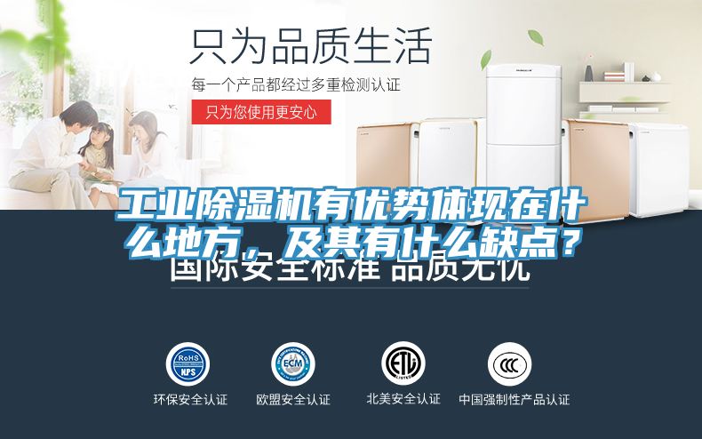 工業(yè)除濕機(jī)有優(yōu)勢體現(xiàn)在什么地方，及其有什么缺點(diǎn)？