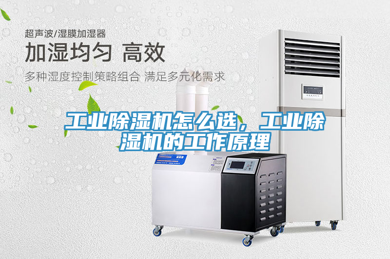 工業除濕機怎么選，工業除濕機的工作原理