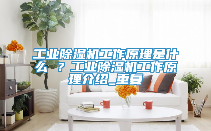 工業(yè)除濕機工作原理是什么 ？工業(yè)除濕機工作原理介紹_重復