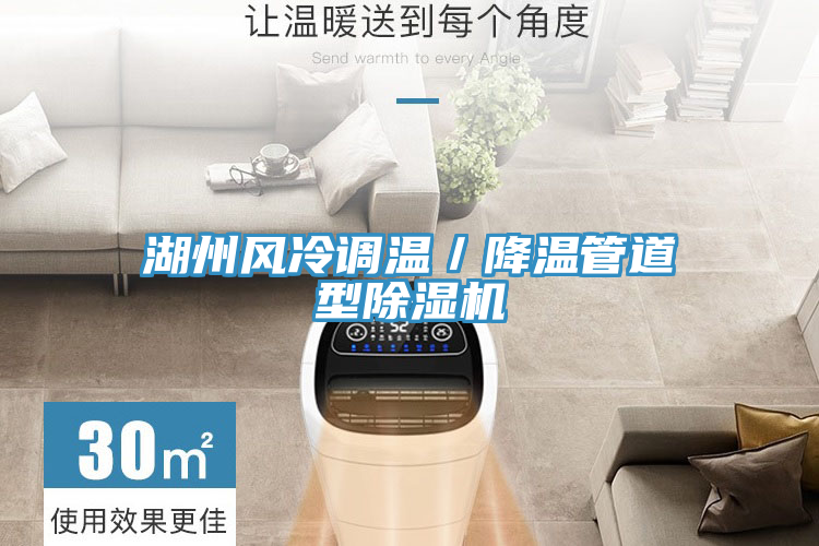 湖州風冷調溫／降溫管道型除濕機