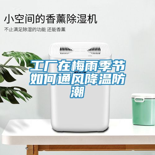 工廠在梅雨季節如何通風降溫防潮