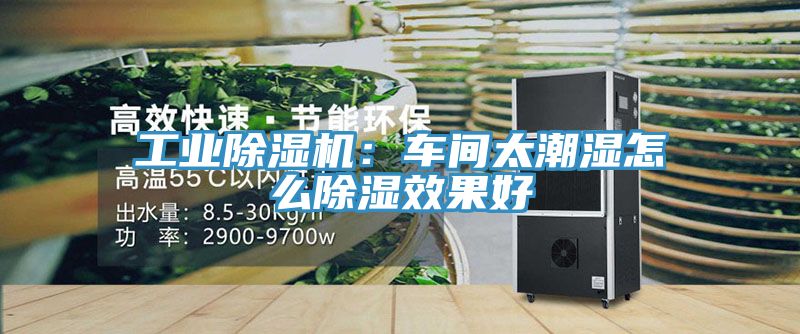 工業(yè)除濕機：車間太潮濕怎么除濕效果好