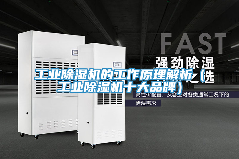 工業除濕機的工作原理解析（工業除濕機十大品牌）