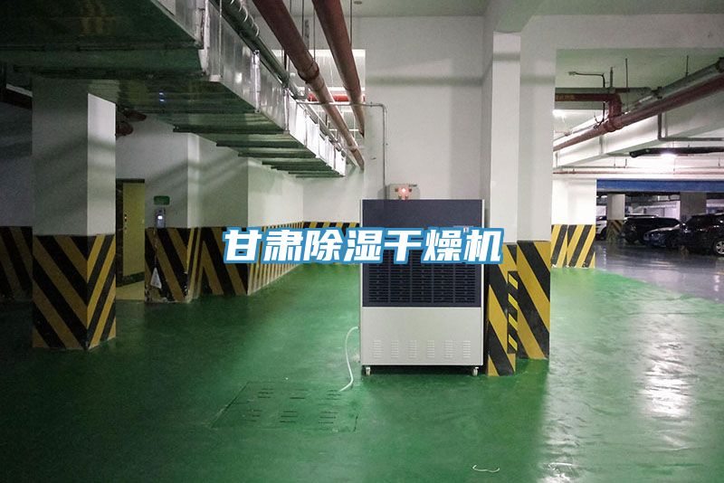 甘肅除濕干燥機