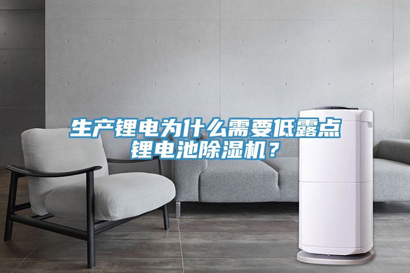 生產鋰電為什么需要低露點鋰電池除濕機？