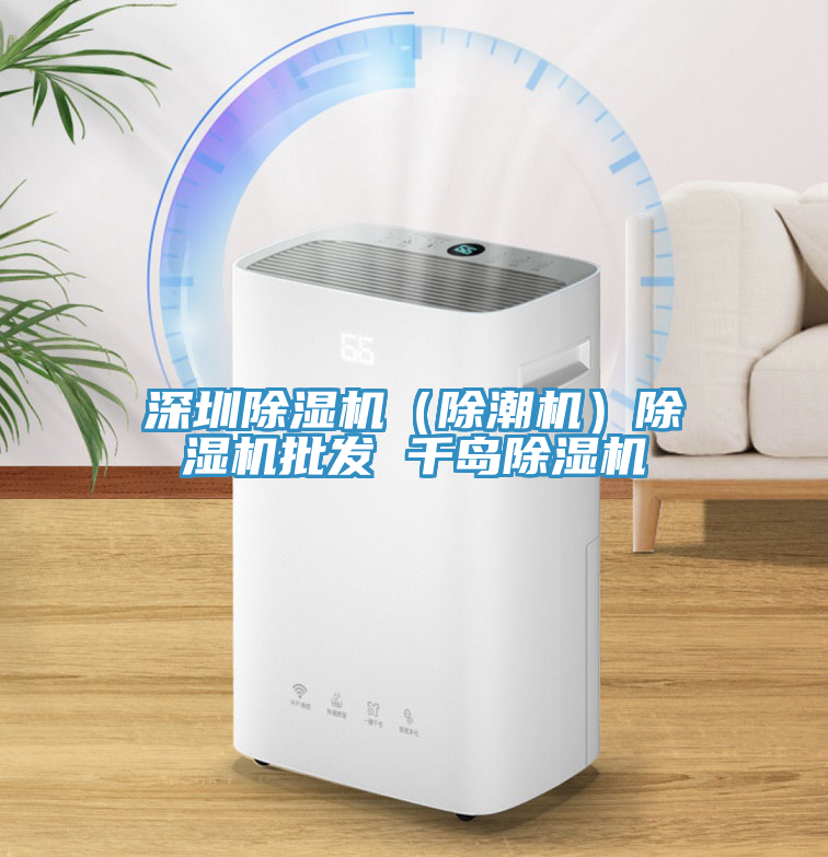 深圳除濕機（除潮機）除濕機批發 千島除濕機