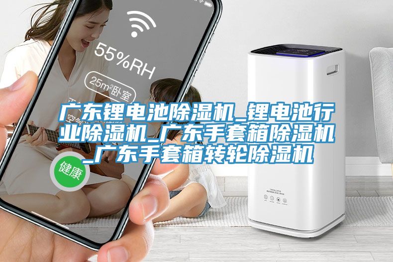 廣東鋰電池除濕機_鋰電池行業除濕機_廣東手套箱除濕機_廣東手套箱轉輪除濕機