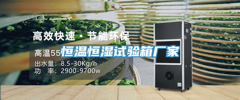 恒溫恒濕試驗(yàn)箱廠家
