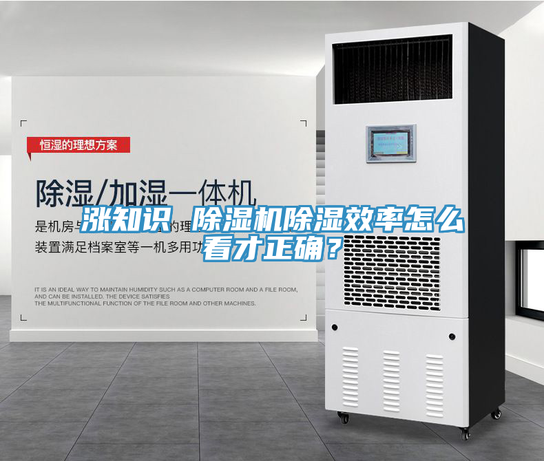 漲知識 除濕機除濕效率怎么看才正確？