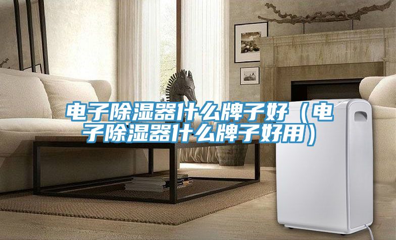 電子除濕器什么牌子好（電子除濕器什么牌子好用）