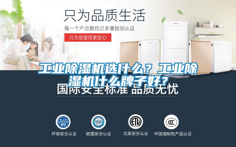 工業(yè)除濕機(jī)選什么？工業(yè)除濕機(jī)什么牌子好？