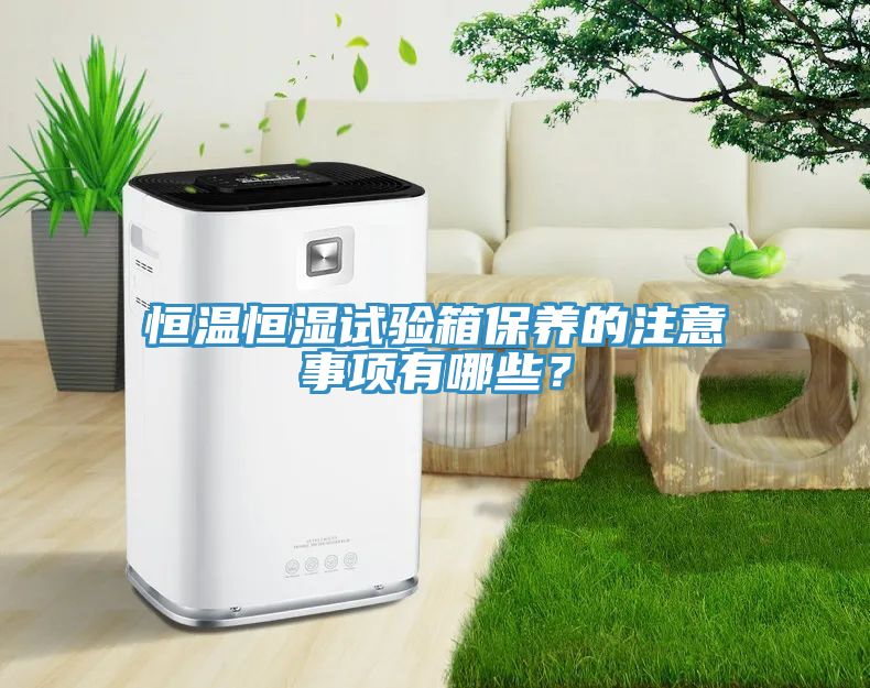 恒溫恒濕試驗箱保養的注意事項有哪些？
