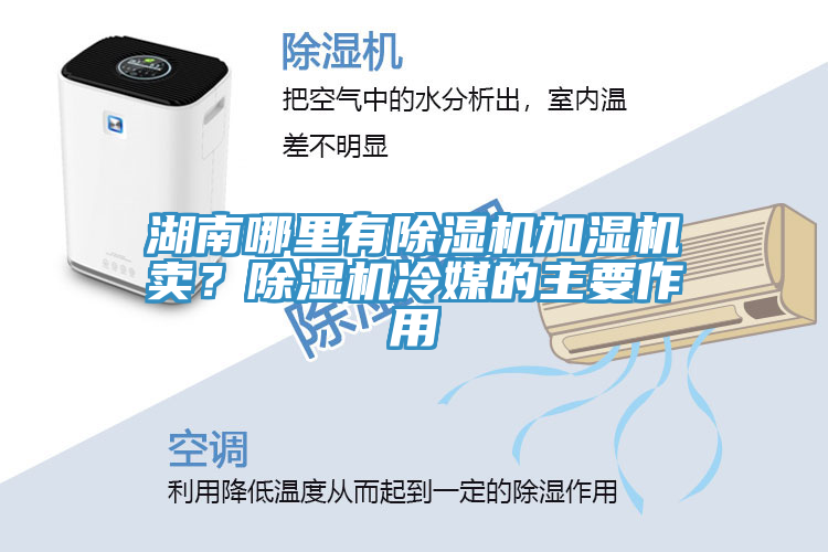 湖南哪里有除濕機加濕機賣？除濕機冷媒的主要作用